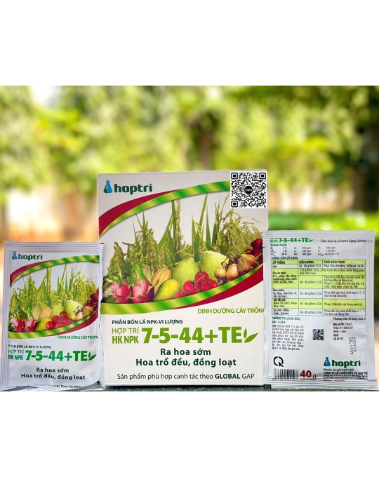 HK 7.5.44 + TE - 40gr ( 12h x 25 gói )