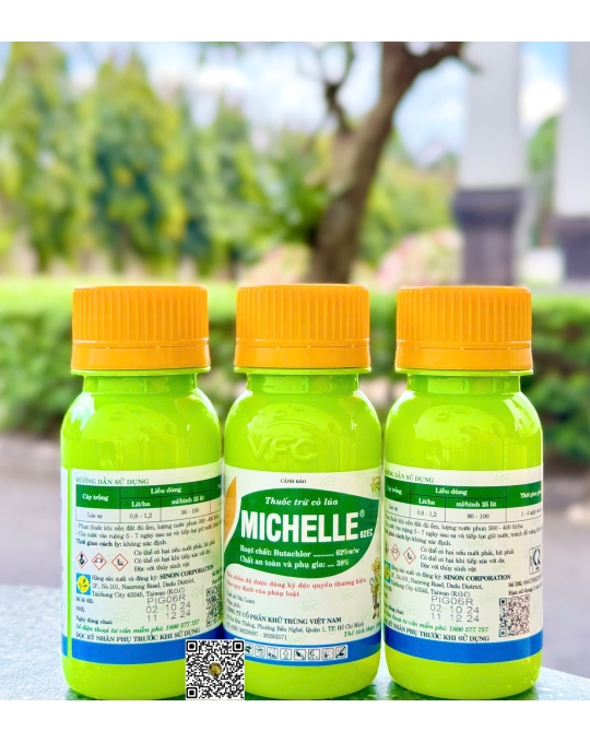 Michelle 62EC - 100ml x 100 chai