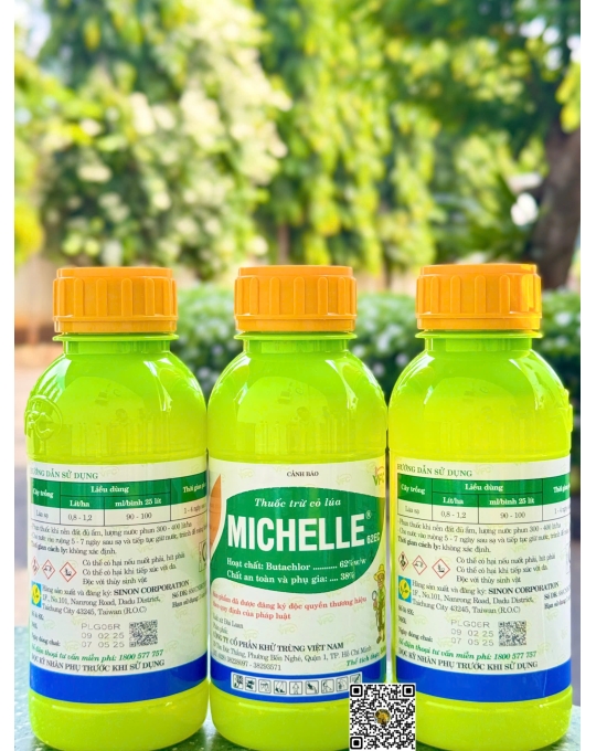Michelle 62EC - 500ml x 20 chai