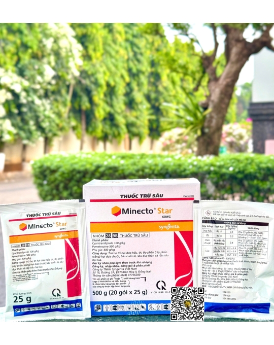 SGT Minecto Star 60WG - 25gr (4H x 20 gói)