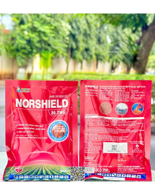 Norshield 86.2 WG - 250gr New x 50 gói
