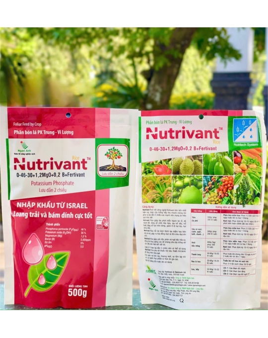 Nutrivant - 500gr x 40 gói