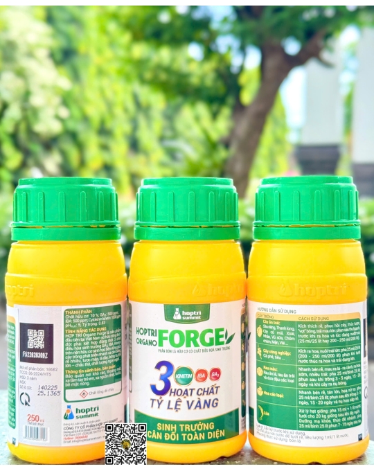 Organo Forge - 250ml x 40 chai