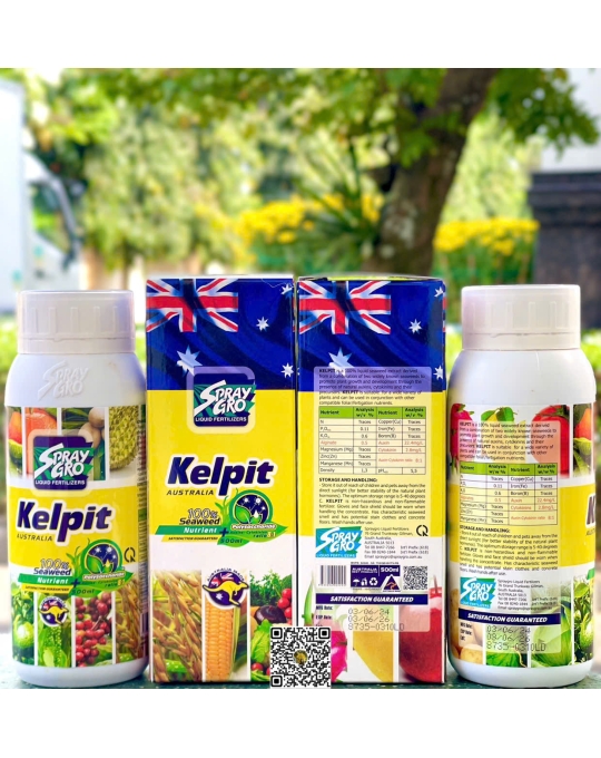 Toba - Kelpit - 500ml