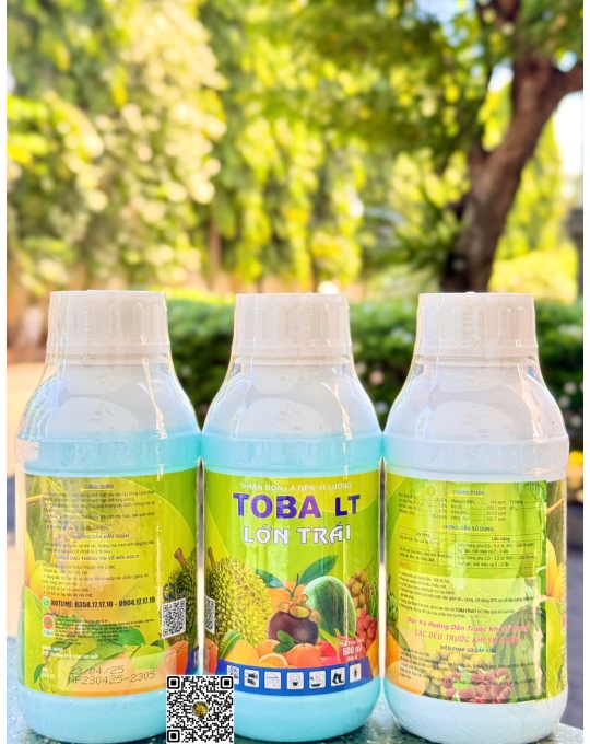 Toba - Lớn Trái - 500ml