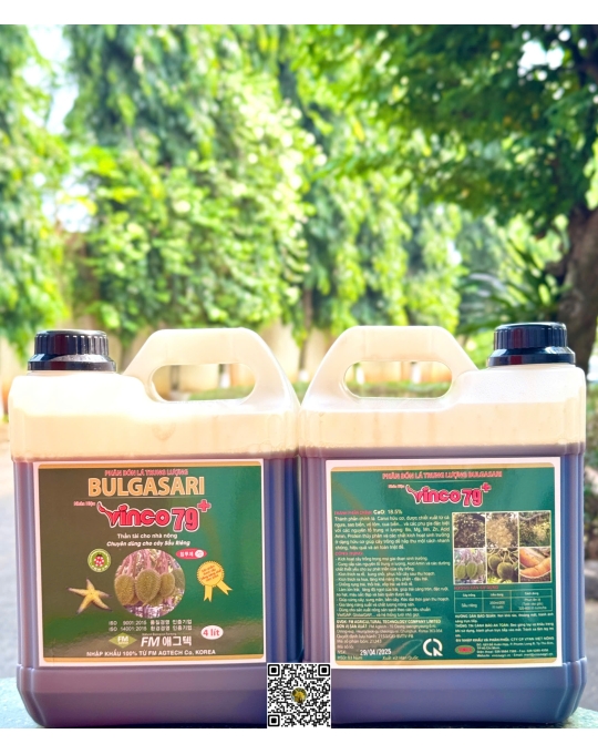 Vinco 79 Sầu Riêng - 4L Nhãn Xanh