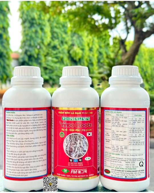 Vinco Root - 1 lít x 15 chai