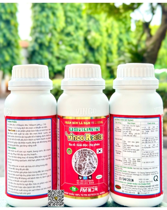 Vinco Root - 500ml x 30 chai